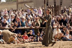 Birds of prey and falconry show