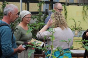 The mystery of the monastery garden – activities during daytime
