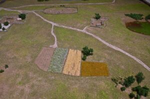 The Battle of Hattingh Field in 1313 – A legendary battle